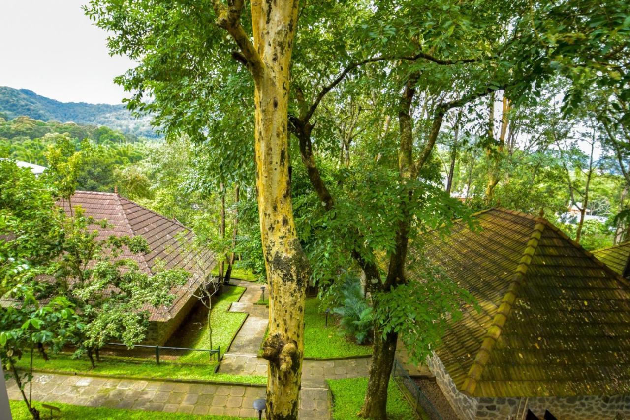 Hotel Treetop Thekkady Ngoại thất bức ảnh